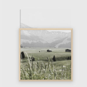 Nature No. 50
