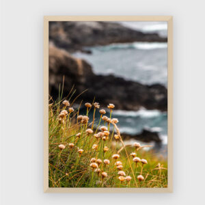 Nature No. 84