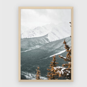 Nature No. 144