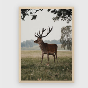 Nature No. 65
