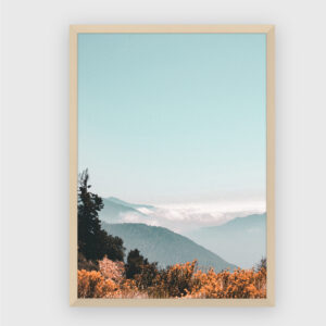 Nature No. 136