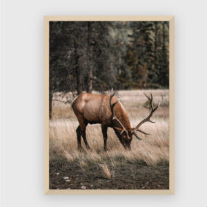 Nature No. 111