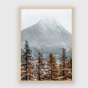Nature No. 54