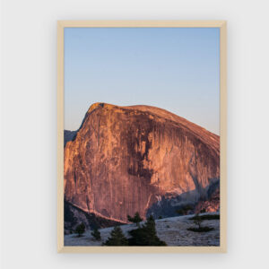 Nature No. 90