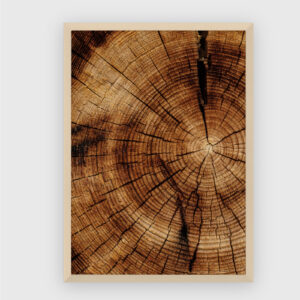 Nature No. 5