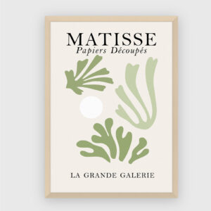Matisse No. 17
