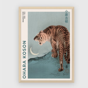 Roaring tiger