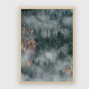 Nature No. 72