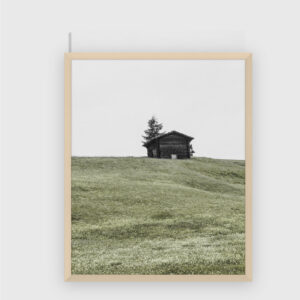 Nature No. 47