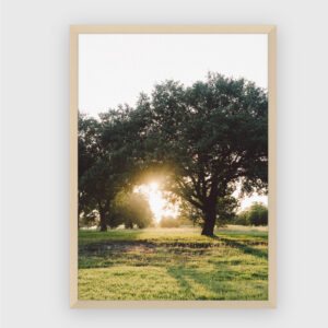 Nature No. 6
