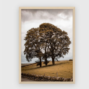 Nature No. 49