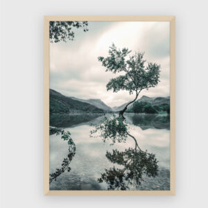 Nature No. 184