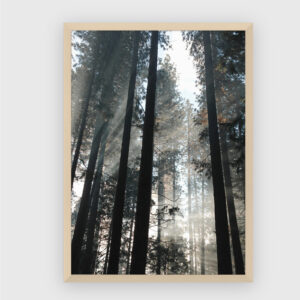 Nature No. 153