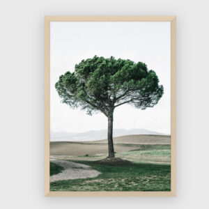 Nature No. 55