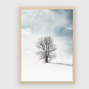 Nature No. 185
