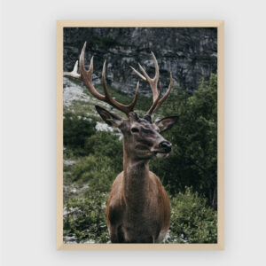 Nature No. 18