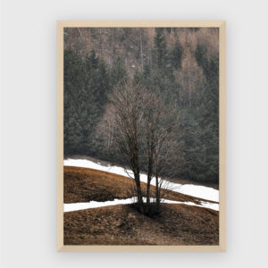 Nature No. 138