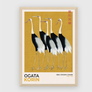 Red crown crane