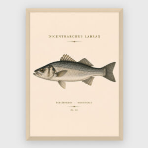 Gastronomi - No 11