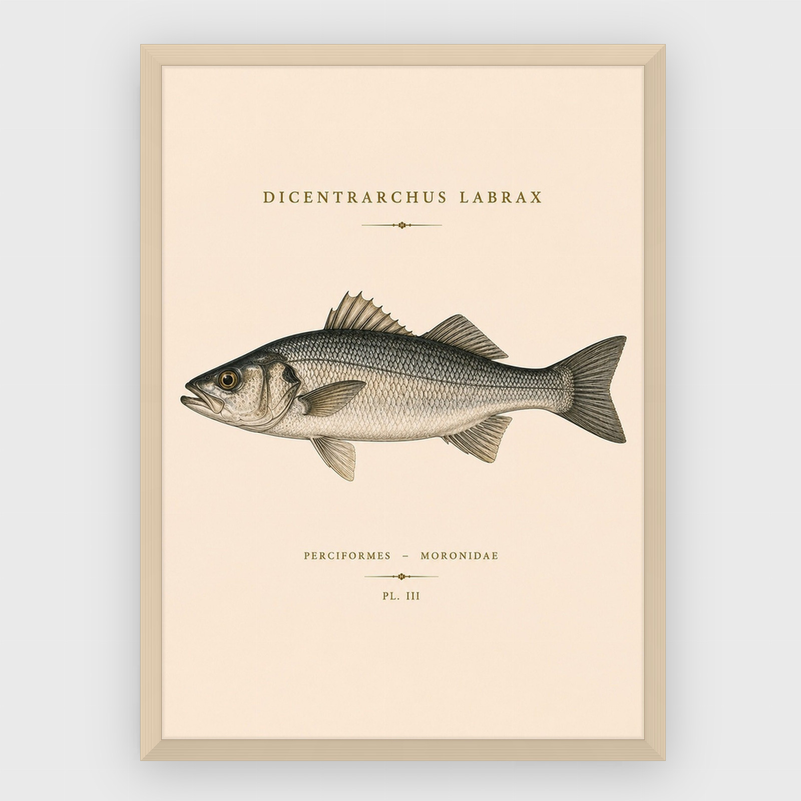 Gastronomi - No 11