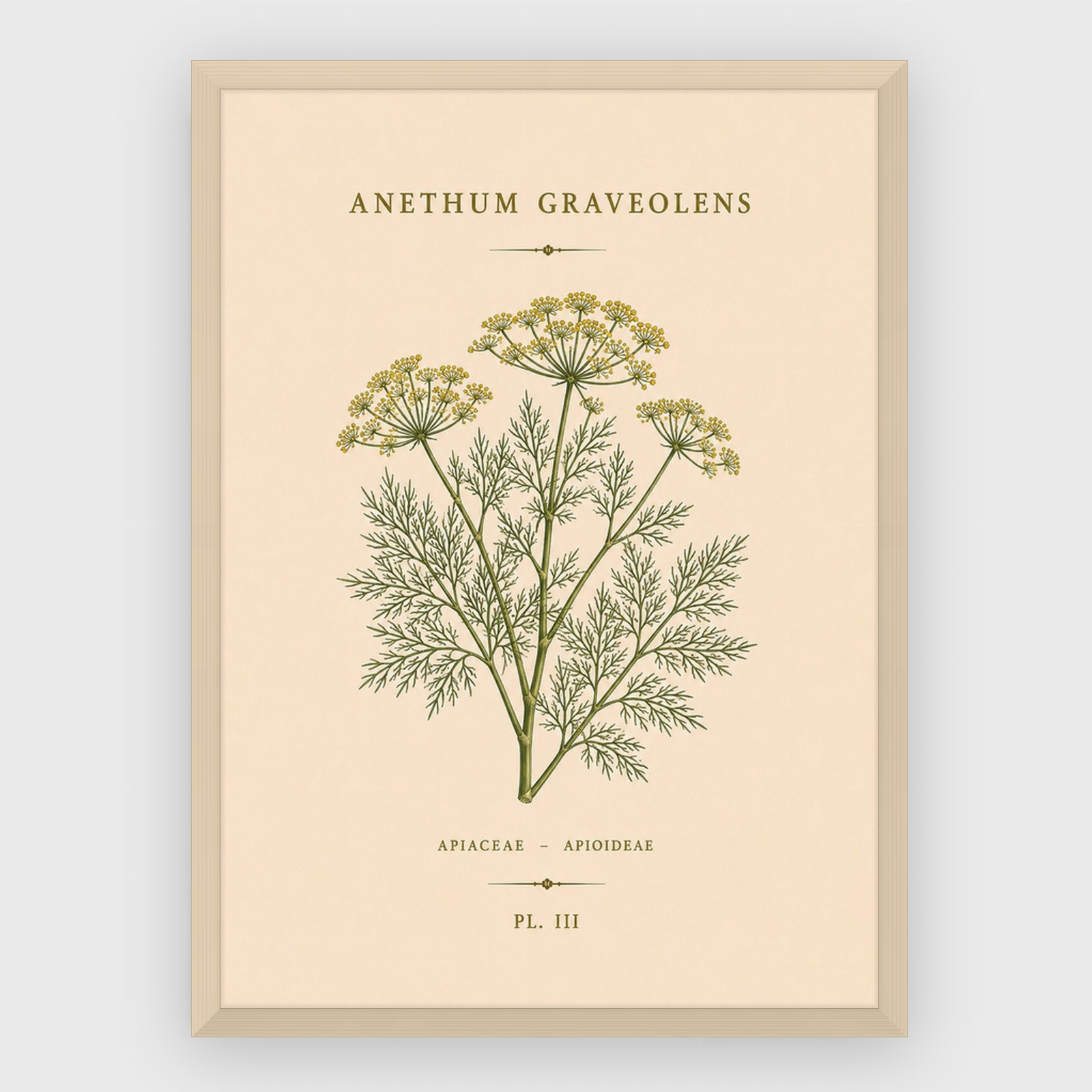 Gastronomi - No 5