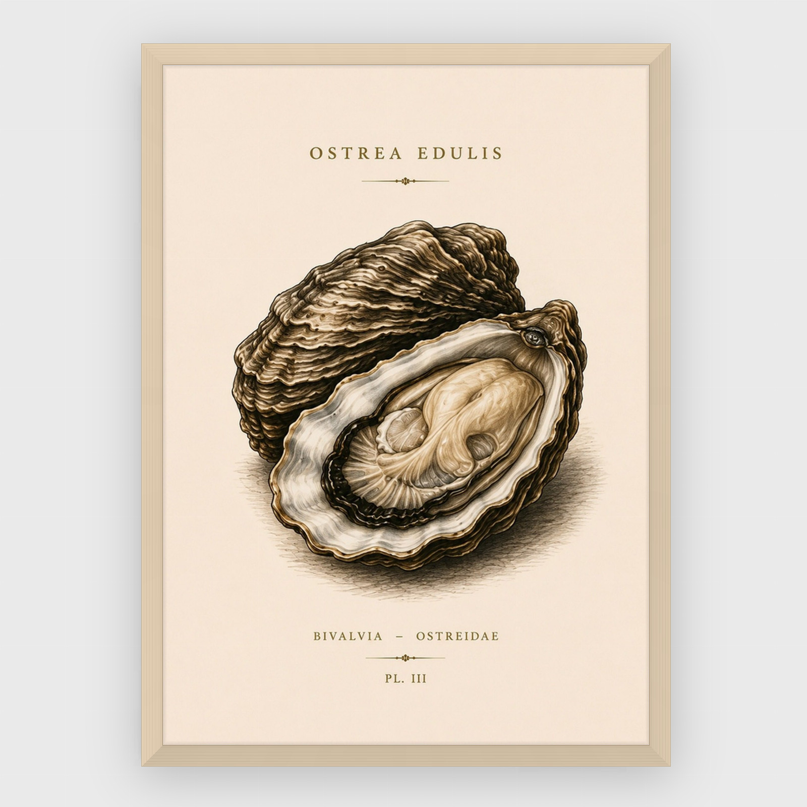 Gastronomi - No 50