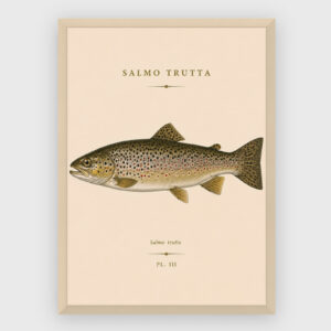 Gastronomi - No 49
