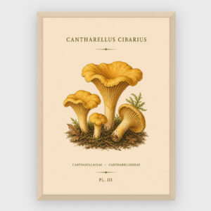 Gastronomi - No 19