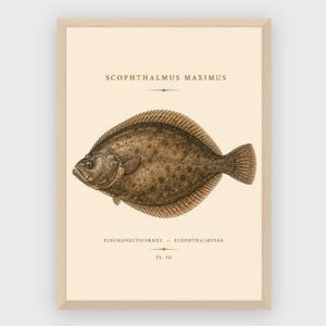 Gastronomi - No 12
