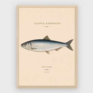 Gastronomi - No 41