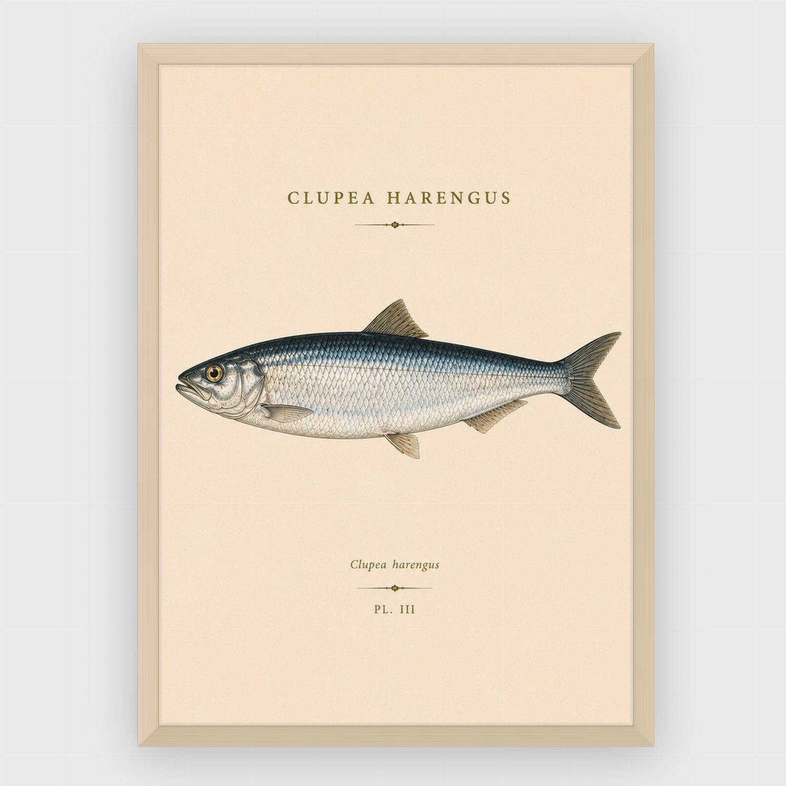Gastronomi - No 41