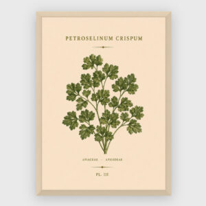 Gastronomi - No 31