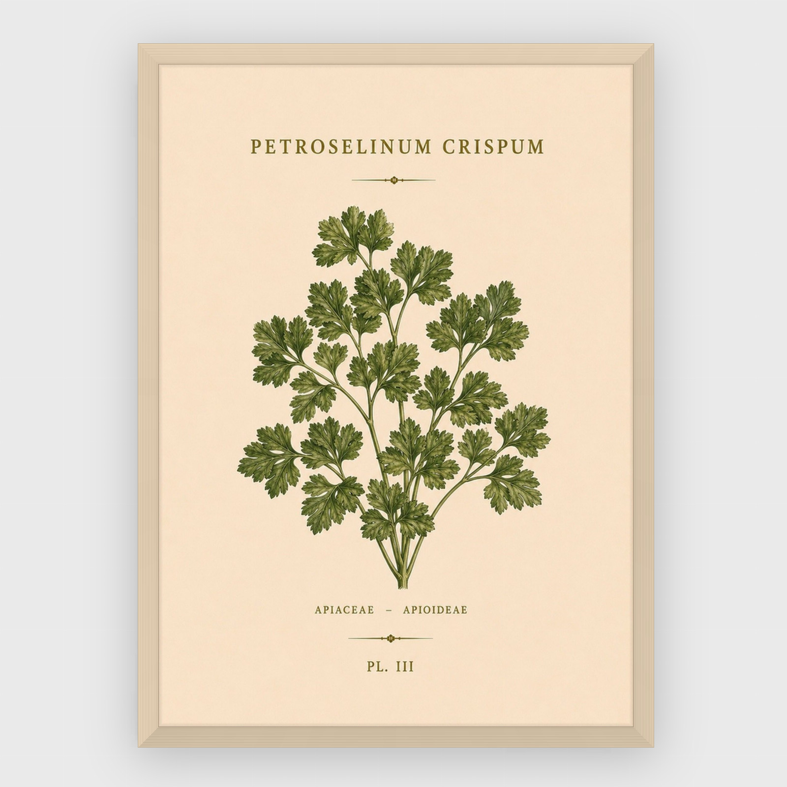 Gastronomi - No 31