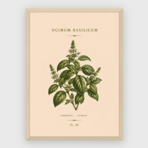 Gastronomi - No 2